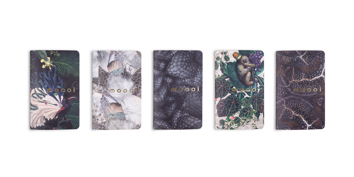 Notebooks set of five